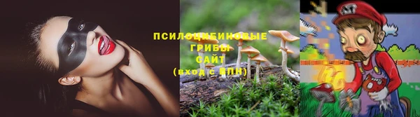мет Бородино