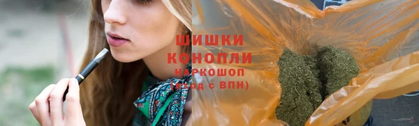 мет Бородино