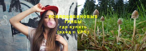 эйфоретик Бронницы