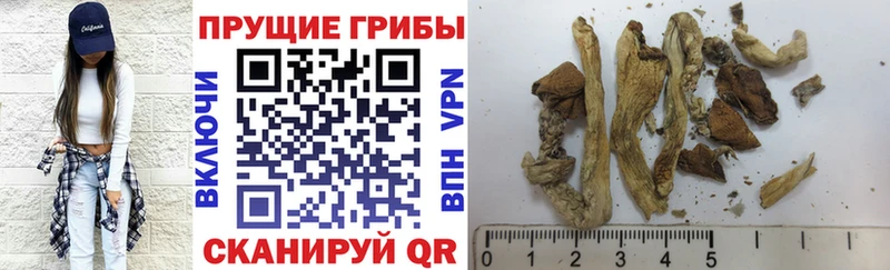 Галлюциногенные грибы GOLDEN TEACHER  Купить где  Буй 